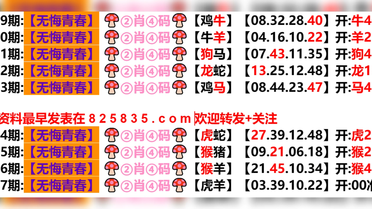 新奥门资料免费单双;精选解释解析落实