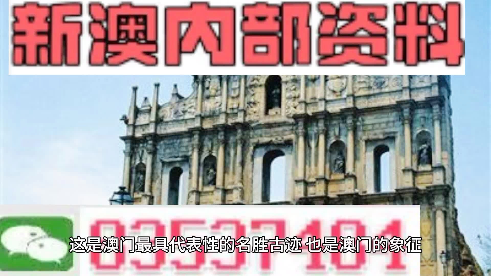 新澳门免费资料大全历史记录;精选解释解析落实